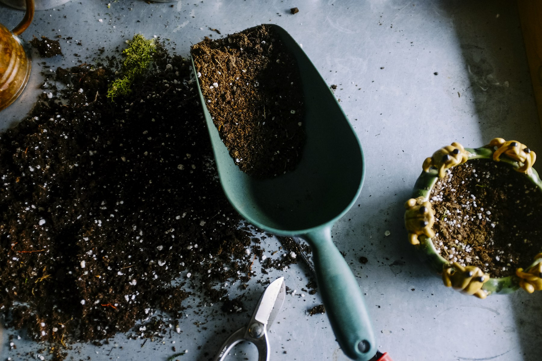 A garden trowel, potting soil, and small plants ready for planting